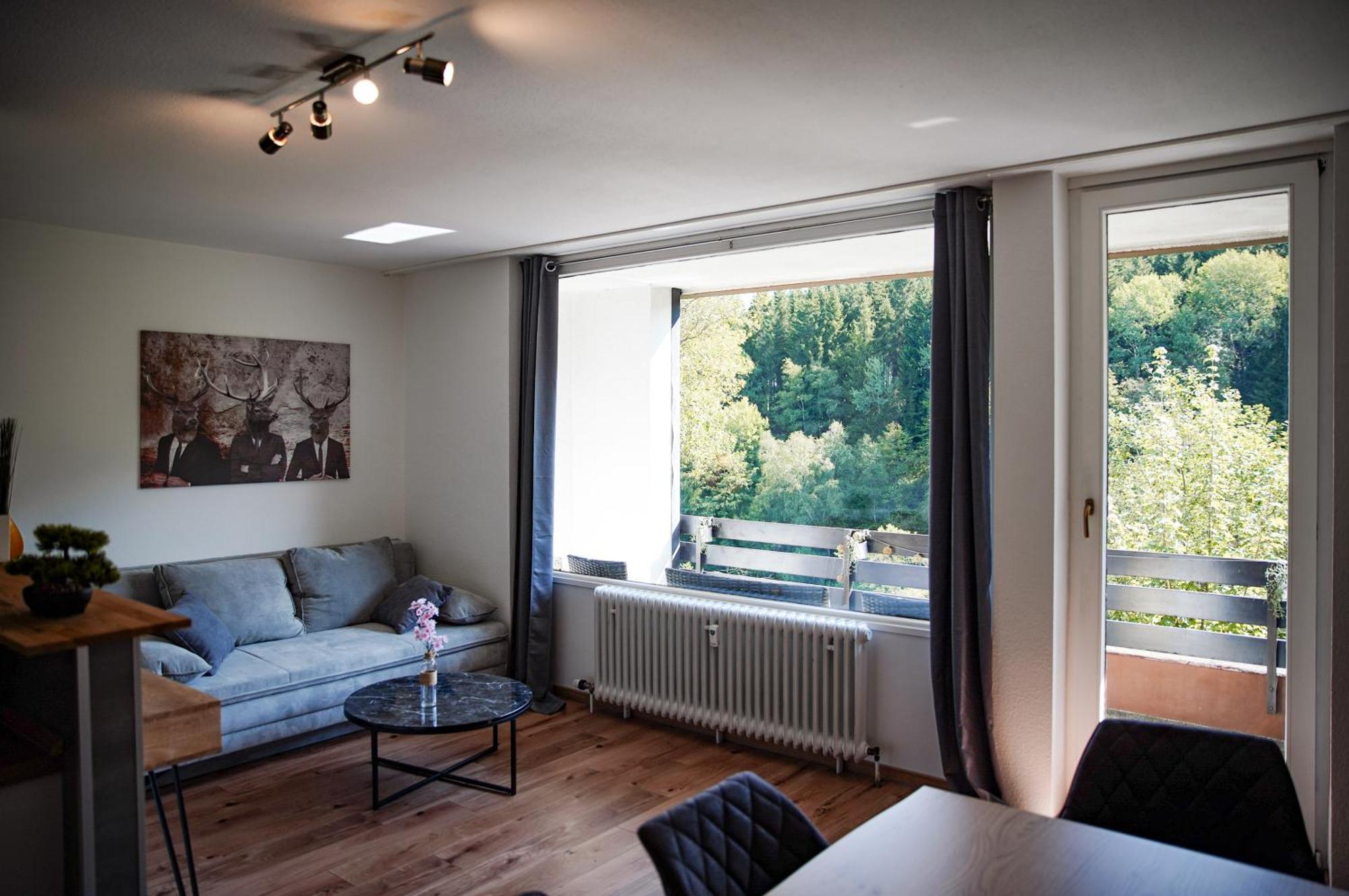 Apartment Traumdomizil 23 Winterberg